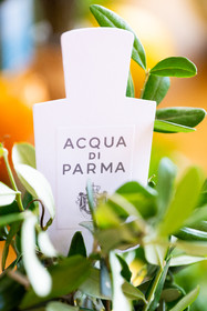 ACQUA DI PARMA