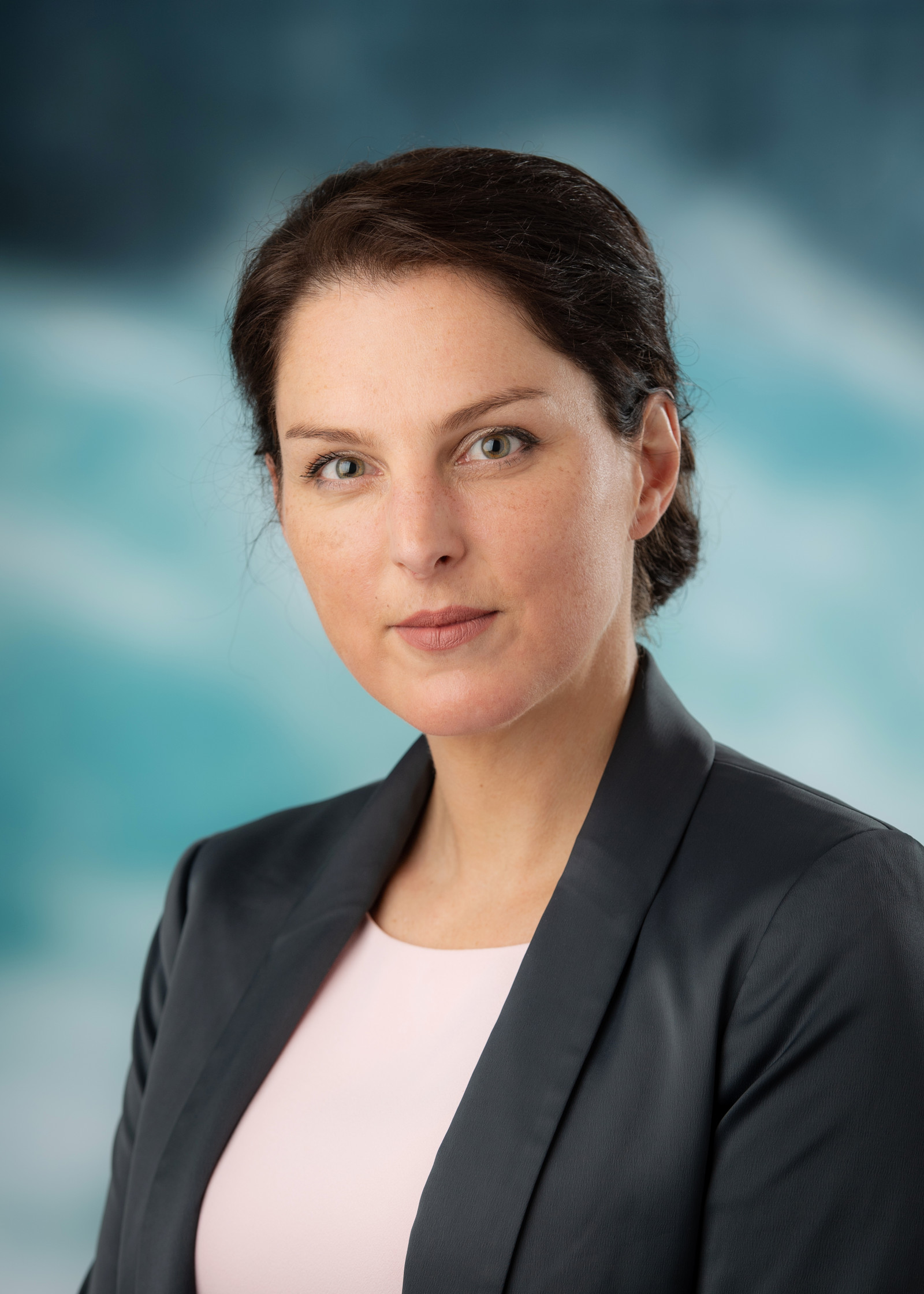 CAPGEMINI European Cluster