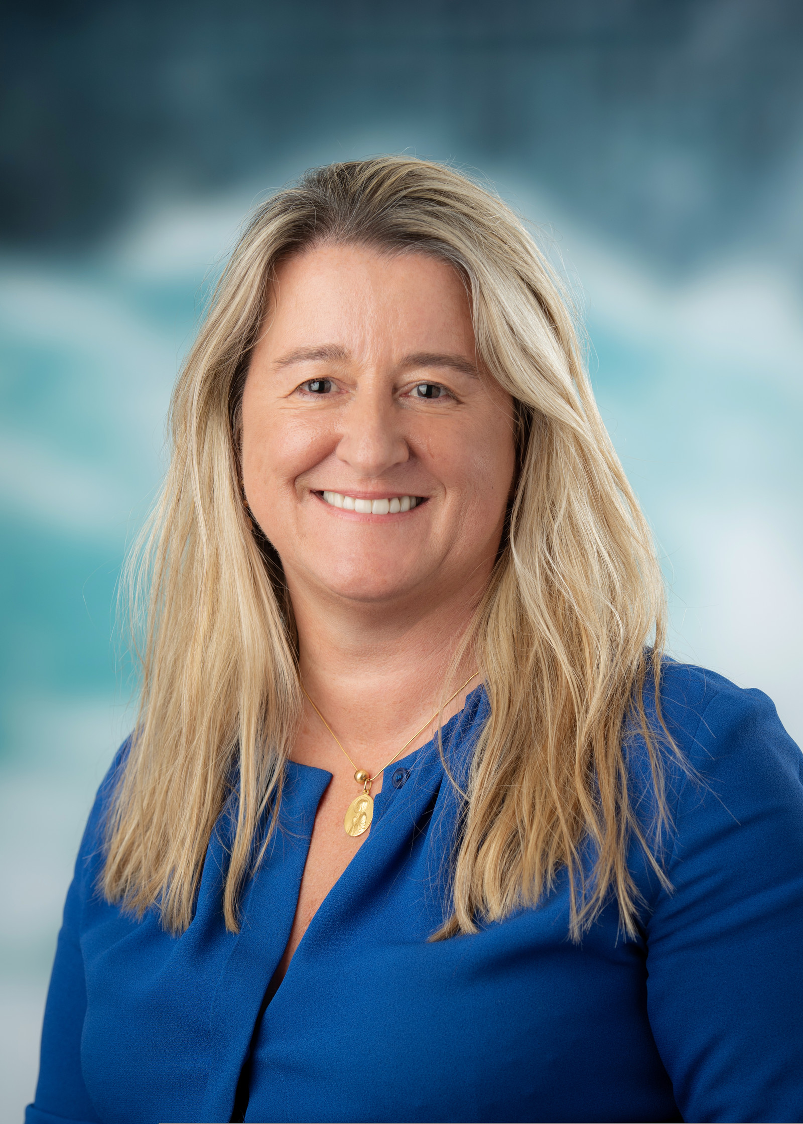 CAPGEMINI European Cluster